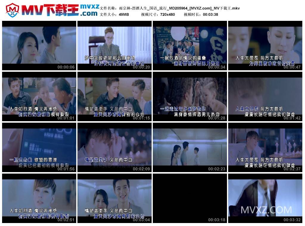 雨宗林-烈酒人生_国语_流行_MD205964